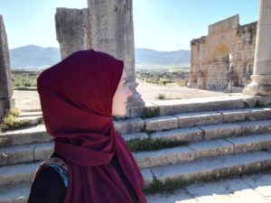 Ausflug nach Volubilis, Moulay Idriss und Meknès
