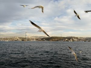 Merhaba - Ein Willkommensgruß in Istanbul, Türkei